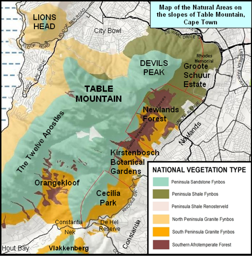 Table Mountain Areial Map | Vineyard Hotel