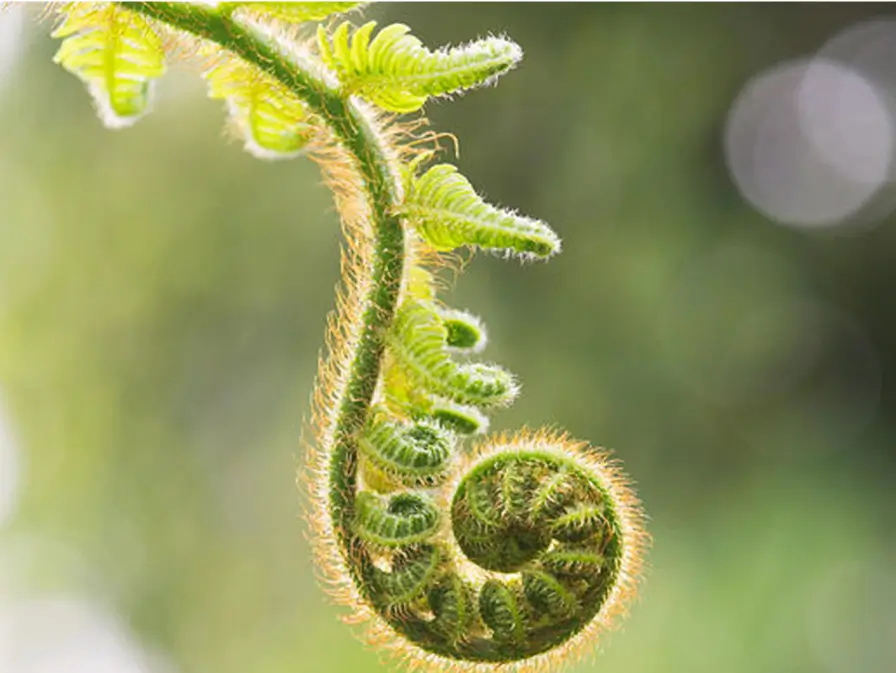 media-3 | Vineyard Hotel