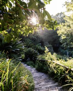 A trail that begins at our door A river crossed A mountain in view Where will your run take you this week Discover The Vineyard Running Route | Vineyard Hotel