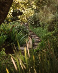 New shoots after the rain quiet paths under soft sunlight The Vineyard gardens welcome October | Vineyard Hotel