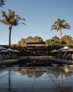 Morning light over the beautiful Vineyard pool the day ahead waiting to unfold | Vineyard Hotel