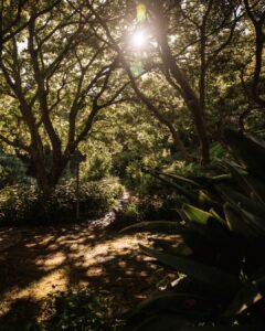 Here nature sets the pace slower softer closer | Vineyard Hotel