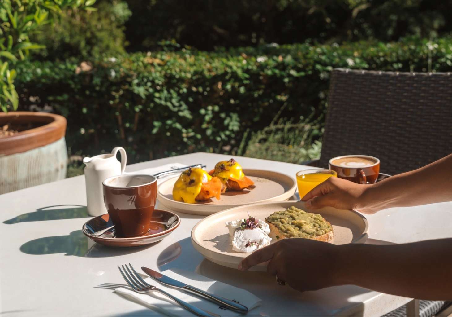 Media New Section 2 | Vineyard Hotel Sunlit outdoor brunch scene with two plates of food (avocado toast and eggs Benedict), coffee cups, a carafe, orange juice, and a hand reaching for a plate on a white table.