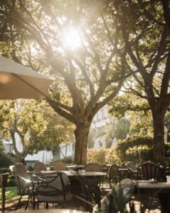 Sunlit outdoor cafe with tables and chairs beneath a canopy of trees, basking in warm, dappled sunlight.