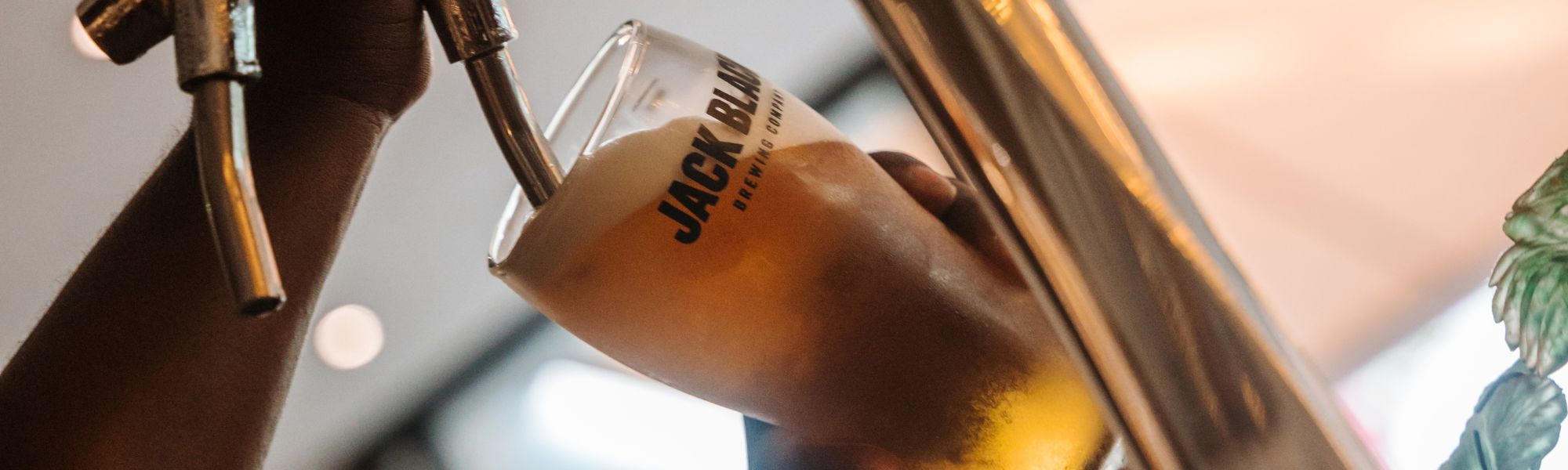 Beer Special | Vineyard Hotel