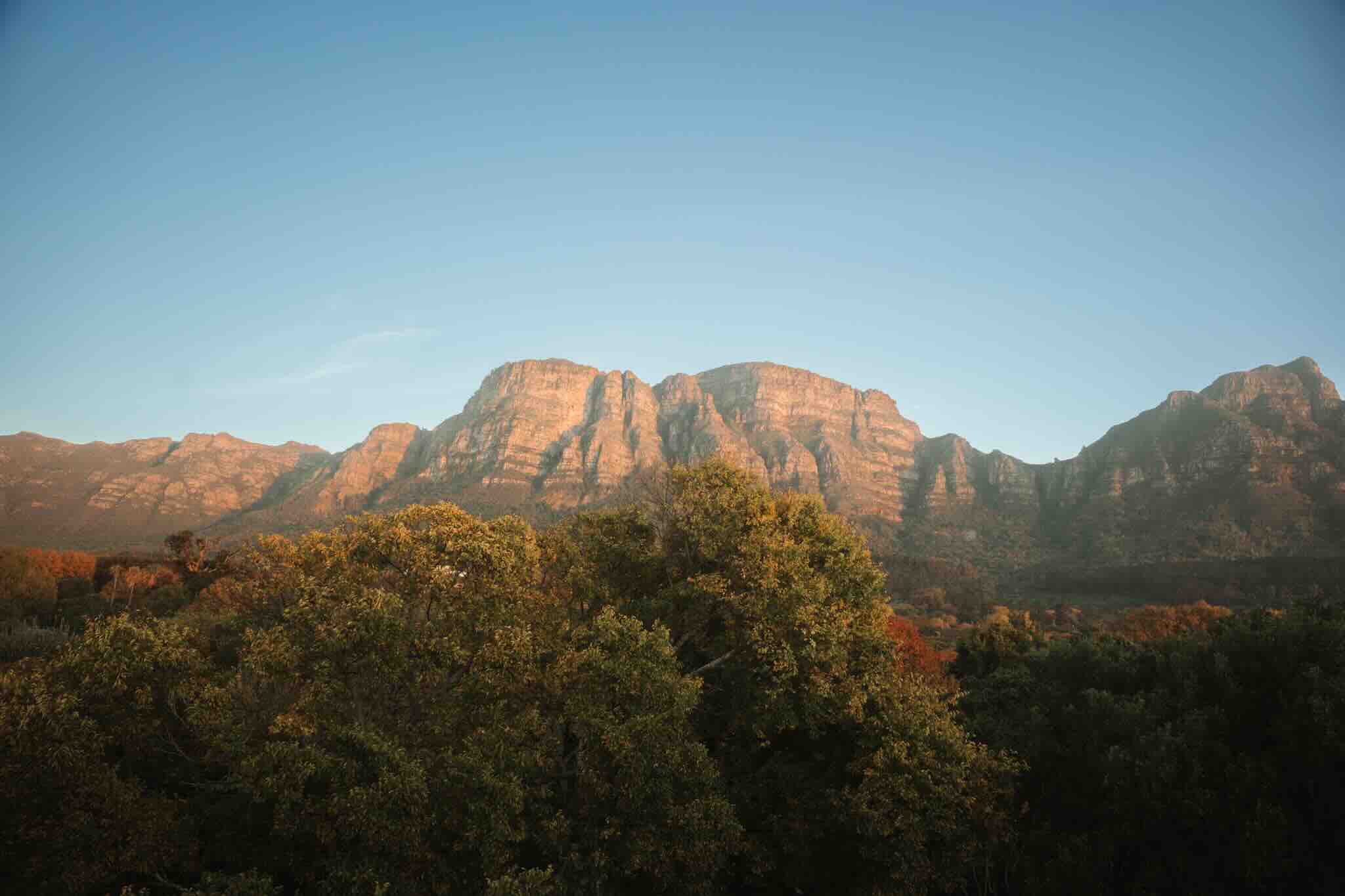 VINEYARD-084 | Vineyard Hotel