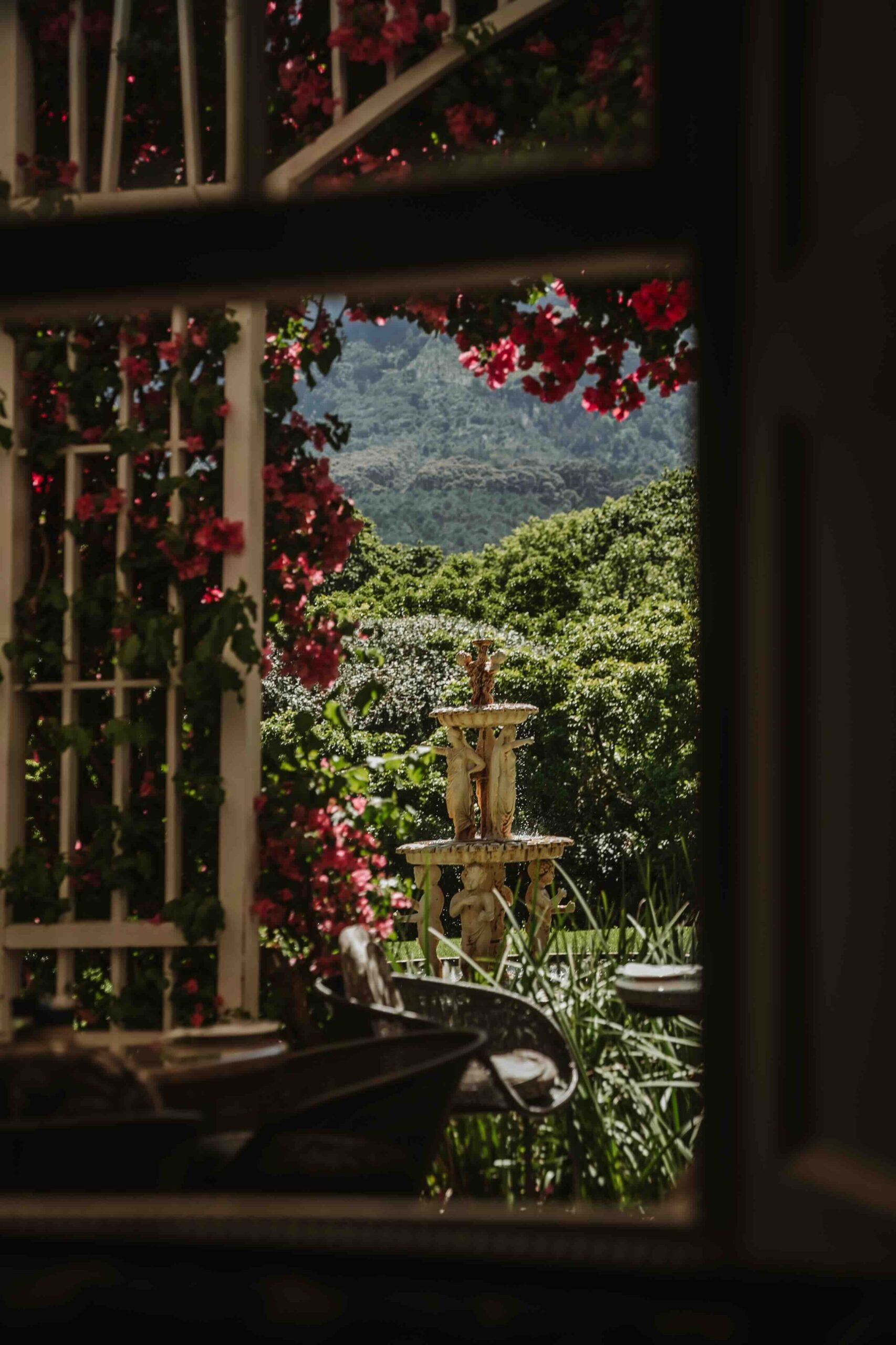 VINEYARDHOTEL-27 | Vineyard Hotel