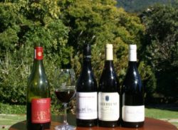 Elgin Valley Festival and celebration dinner