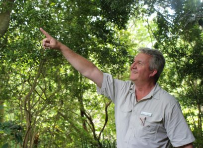 Guided Garden Walks