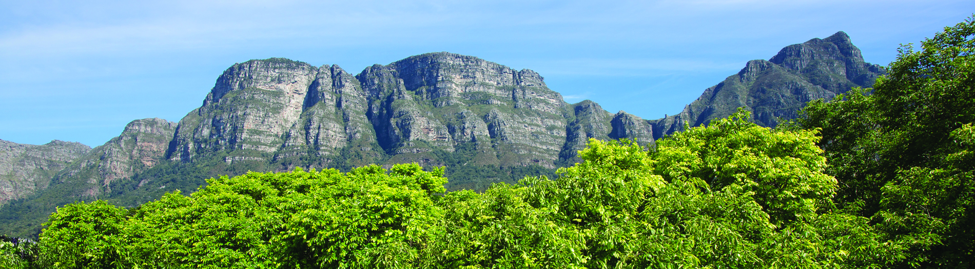 Mountain Facing 