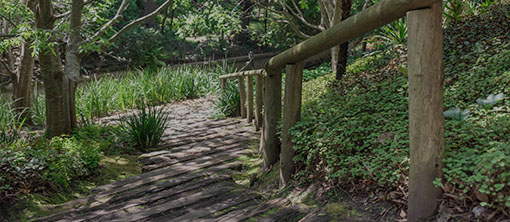 Guided Garden Walk and Light Snacks