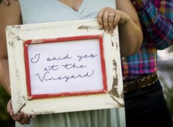 Vineyard’s romantic ways to propose